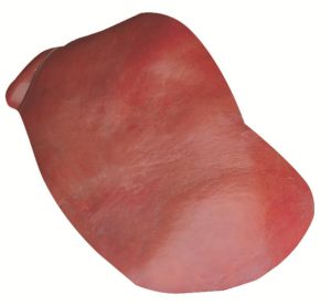 6080 Liver