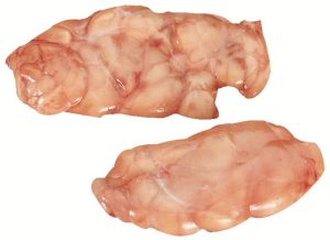 6110 Thymus Gland