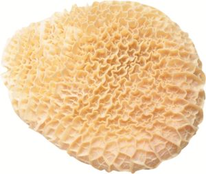 6152 Tripe Honeycomb
