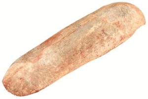 6190 Spleen