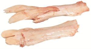 6200 Tendons