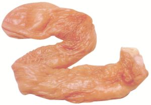 6497 Large intestine