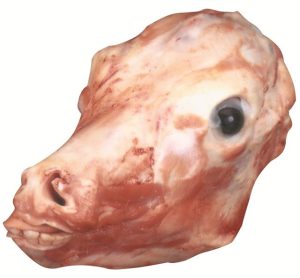 7150 Head