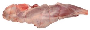 G 4821 Leg Shank Bone