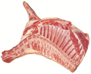 G 4969 Forequarter 13Rr