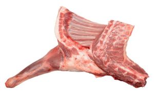 G 4970 Forequarter 5R