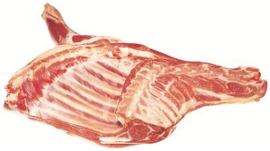 G 4972 Forequarter 6R